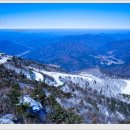 1월 6일 (토) 덕유산 겨울왕국 눈꽃의 향연 산행안내 및 예약 이미지