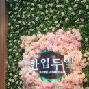 석곡1동 | 한입두잎 가경동맛집 오늘도 또 방문하는 청주 샤브샤브 또간집!