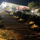 청산도 안단테 이미지