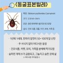 동굴식품