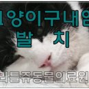리틀쥬동물의료원 이미지