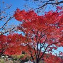 수림지 파크골프장2 이미지