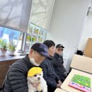 댕댕 쉼터 이미지