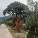 무쇠점길 이미지