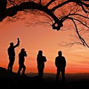 사랑나무 이미지