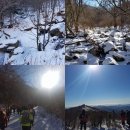 문곡소도동주민센터 | 태백산눈축제 기본정보 태백산국립공원, 황지연못 별빛페스티벌