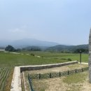 국대이야기