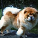 애개 하우스 이미지