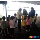 입암초교병설유치원 이미지