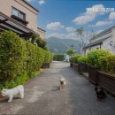 엘페로3 이미지