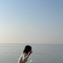 한국지엠영광바로서비스 | 영광에 와서 영광인 광주-영광-담양 여행