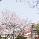 놀터PC방 이미지