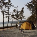송림캠핑장 Daum카페
