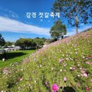 서문강경젓갈 이미지