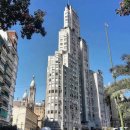 카페 아로요 Cafe Arroyo | floreria atlantico, 부에노스아이레스카페 coracafe, 부에노스아이레스한식당 향가, 파송송, 엄마밥 후기.