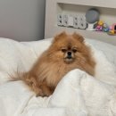 만덕분식세상 | 3월 일상 ❤️‍🔥