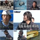 도그 에이스 이미지