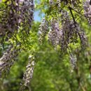 설매공원 이미지