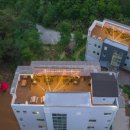 지오 파인트리 이미지