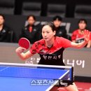 양산시청 스포츠서울
