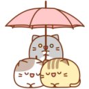 주산연구소