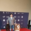 더블유펫 테마파크 이미지