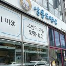 강아지 미용실 | 경산 애견미용 살롱드멍냥, 두 번째 방문후기 강아지 미용실 완벽정착!!