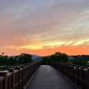 순천만습지 이미지