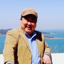 나비 행정사 사무소 이미지