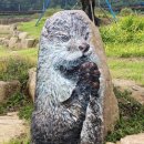 보성군립요양병원 이미지