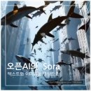 소라산업 이미지