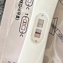 루트여성의원 이미지