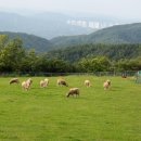 갈현목장 이미지