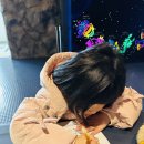 🍉 현장체험학습 - 별빛누리공원 1 이미지