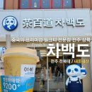 전주 전북대 신상카페 밀크티전문점 [차백도 전북대점] 망고 포멜로 사고 후기