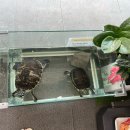 이마트24 경주안강삼도점 이미지