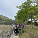 물돌이펜션리조트 | 통영 사량도 숙소 추천, 물돌이 펜션리조트