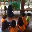 천전초병설유치원 이미지