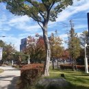 포항철길숲 이미지