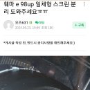 훼마 이미지