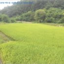 금산보건지소 이미지