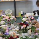 힐링 원예교실 이미지