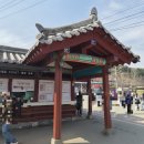 남이섬 진입로 자전거길 | 강원도 춘천 남이섬 배 놀거리 자전거 나눔열차 공작새 동물 구경 후기