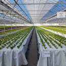 신동리영농조합법인 이미지