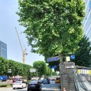 대은한의원 이미지