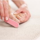 깔끔하개 이미지