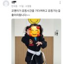반곡MMA 이미지