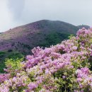 겸백초교 이미지