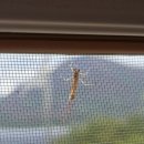 지리산덕천강마을 이미지