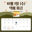 그린식육유통 | [2025년 추석] "고급 한우 선물 세트"주문 받습니다 (전국 택배 ~10/1까지)